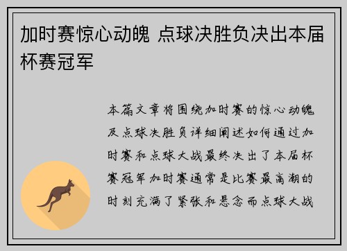 加时赛惊心动魄 点球决胜负决出本届杯赛冠军